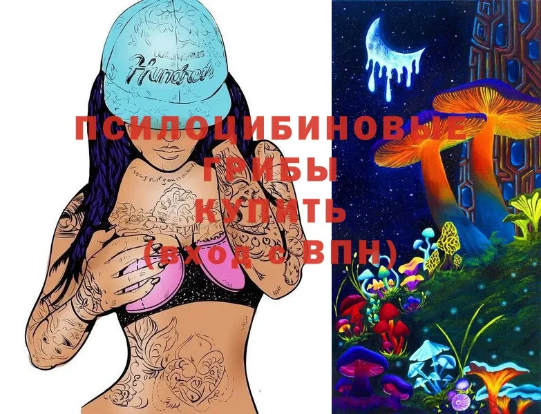 ссылка на мегу вход  Сатка  Псилоцибиновые грибы Cubensis 